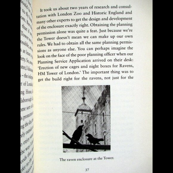 Book - The Ravenmaster: My Life with the Ravens at the Tower of London -- Skaife - Picture 10 of 16